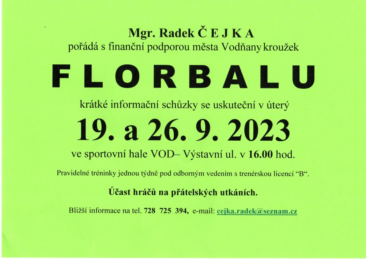 Plakát Florbal