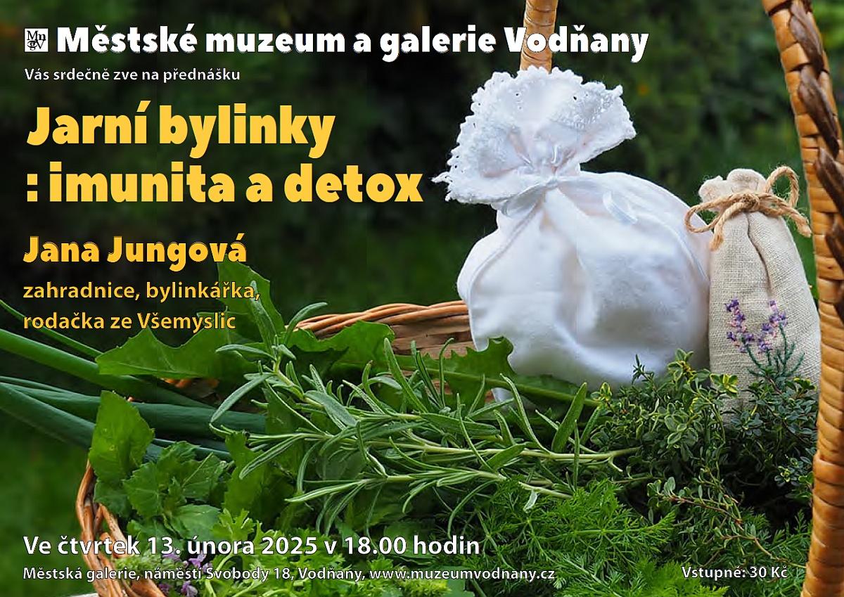 Plakát Jarní bylinky : imunita, detox