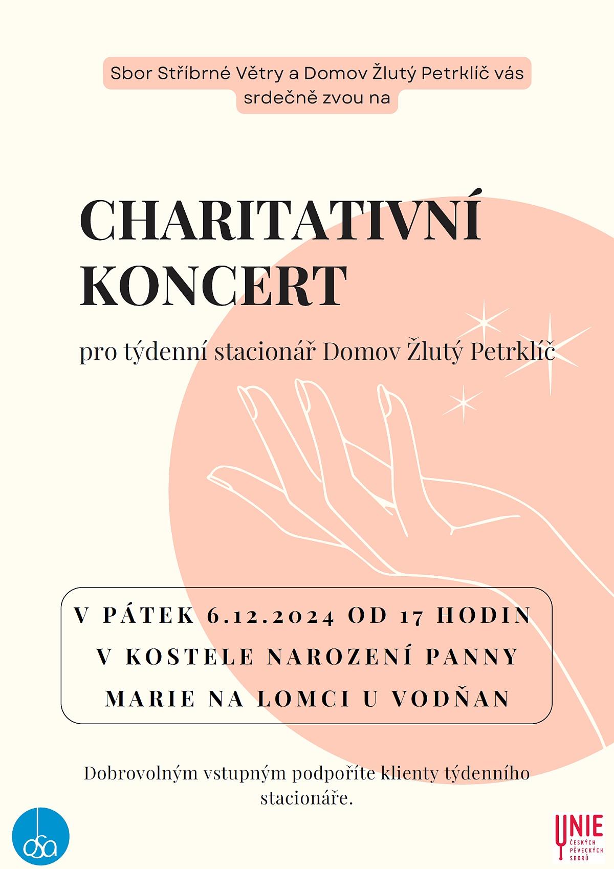 Plakát Charitativní koncert